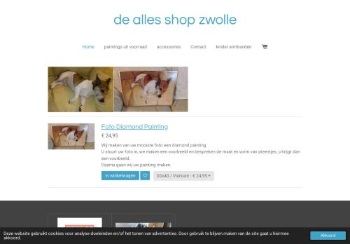 de-alles-shop-zwolle.nl logo